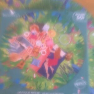 Puzzle by Pieces and Peace. 501ct. La Pique Nique